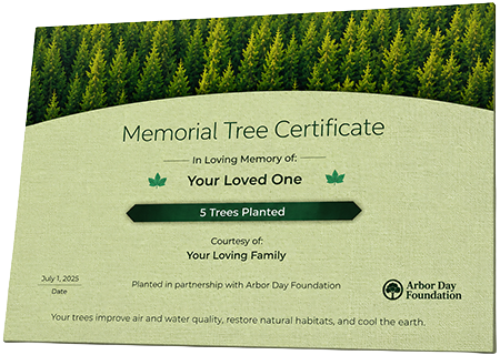 Plant Trees in Memory of Mrs. Lucille Gladden Belton